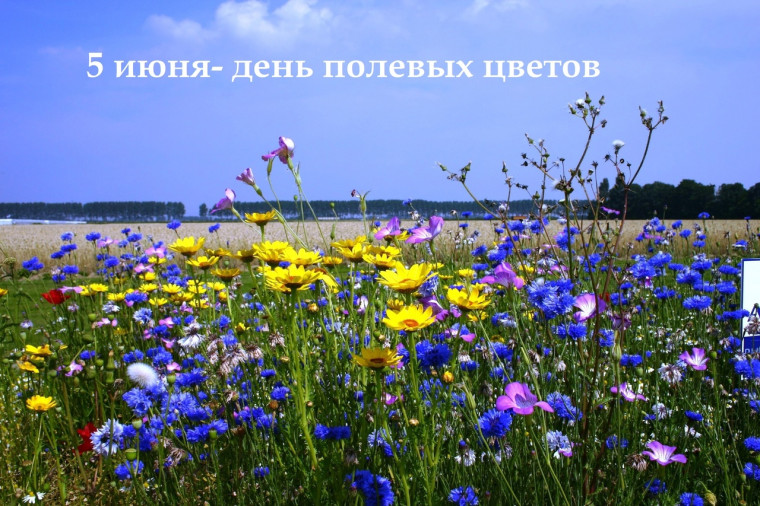 УРА! У нас начались КАНИКУЛЫ!.